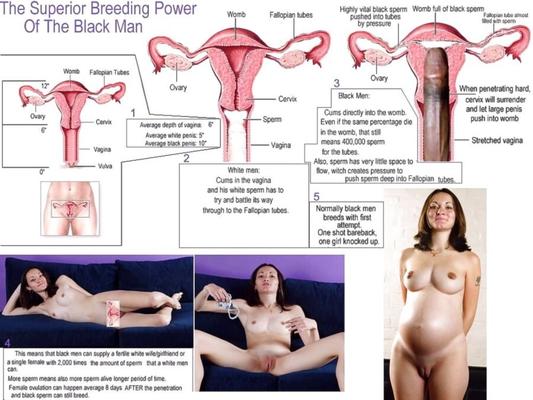 The Power of The Black Men