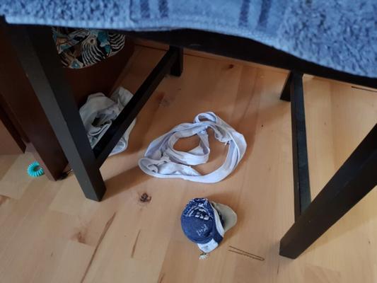 Niñeras dreckige getragene Piss-Höschen - Niñeras usadas