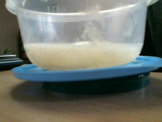 frozen semen