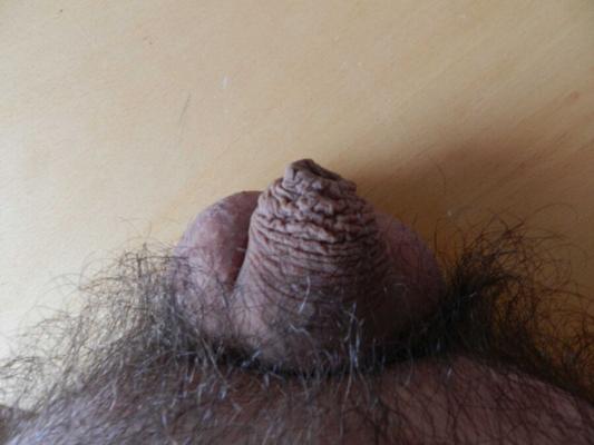 Eier