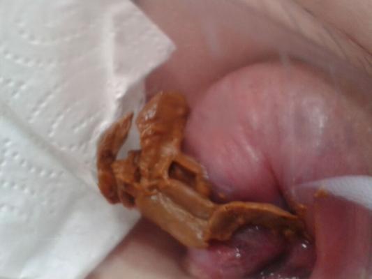 Pumping my Asshole and shit