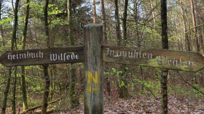 "naturismo e eu"