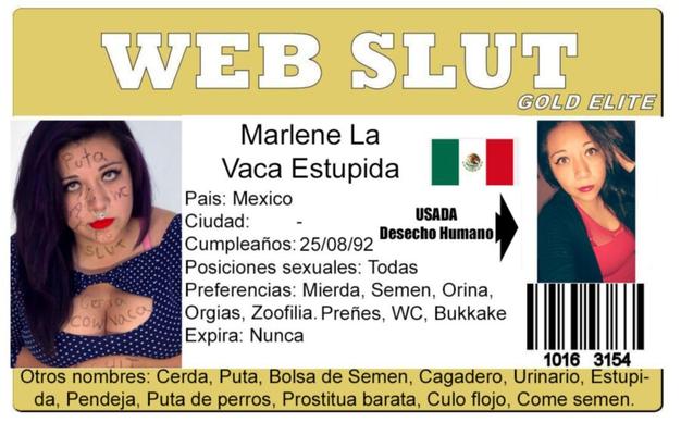 Meu CARTÃO DE IDENTIFICAÇÃO