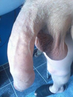 My snapchat pics, sent to ...