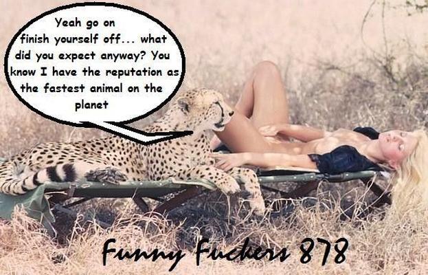 My Guess? Funny Fuckers