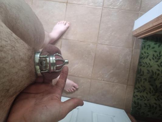 25y from Australia   cage