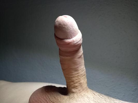 Lonely dick