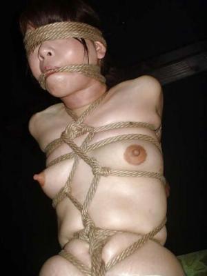 Salacious slavegirls Vol. 