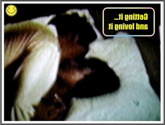 Barbiebninfa