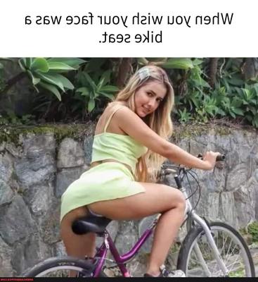 各種写真