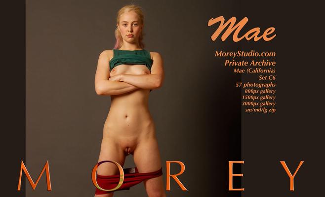 MoreyStudio Мэй С x