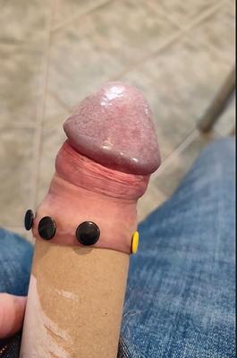 ダンボールの筒と画鋲で遊ぶ