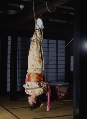 杉浦則夫セレクション