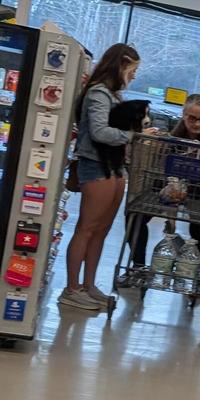 Shopping goddess 