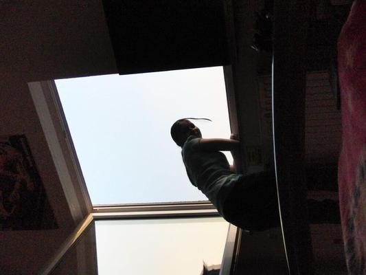 Bin fenster