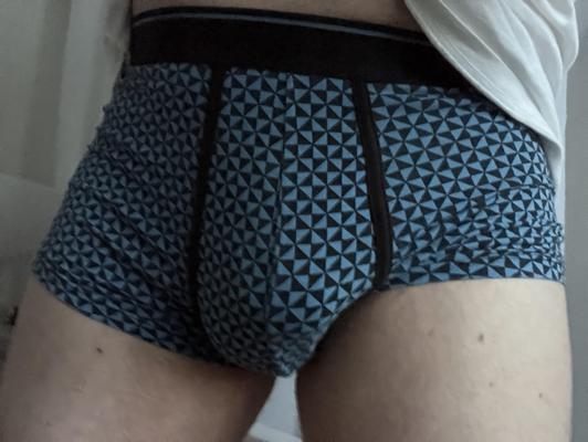 下着とペニスの写真