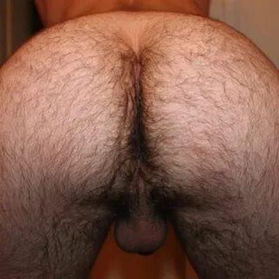 Time to Worship Hairy Asses