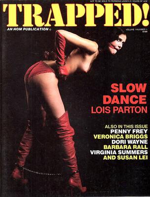Sortiertes Bondage Magazine Covers