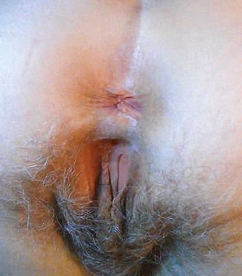 Gattin