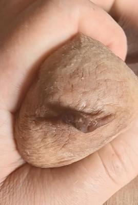 Durante la negociación de precios con una puta crack, el juego de tit es gratis