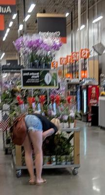Shoppers 