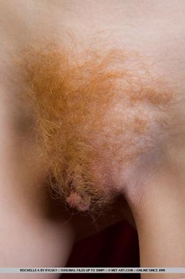 Pussy pics Hairy pussy 