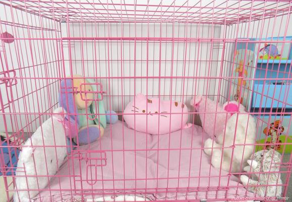 Inspiração no petplay