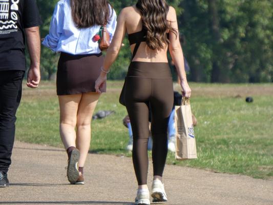 Pert VPL
