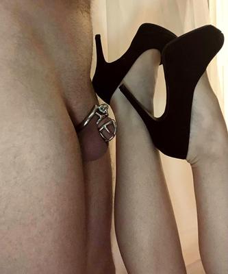 Husbands in chastity